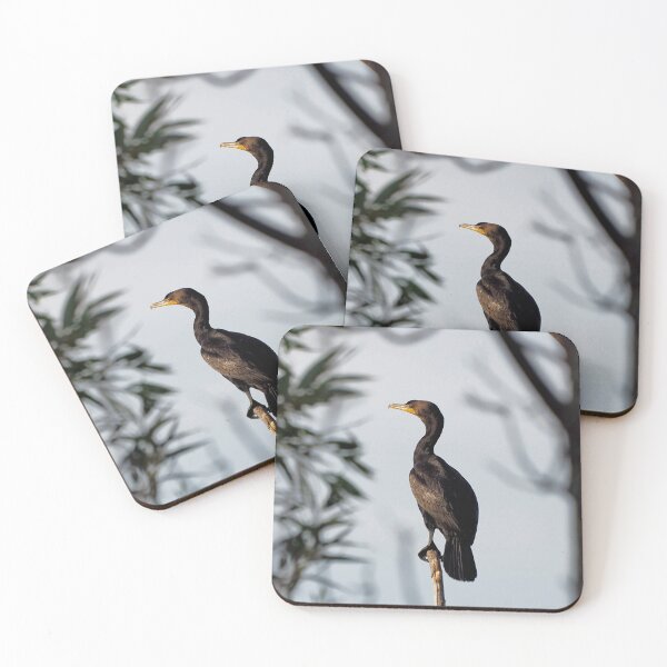Item preview, Double-crested Cormorant Perched On a Tree Branch designed and sold by BackyardBirder.