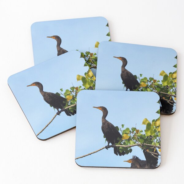 Item preview, Two Double-crested Cormorants In a Tree designed and sold by BackyardBirder.