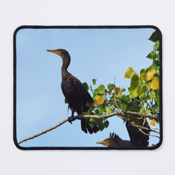 Item preview, Two Double-crested Cormorants In a Tree designed and sold by BackyardBirder.