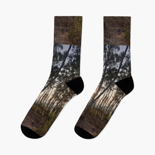 Item preview, Sunset through trees  designed and sold by stupidpotato1.