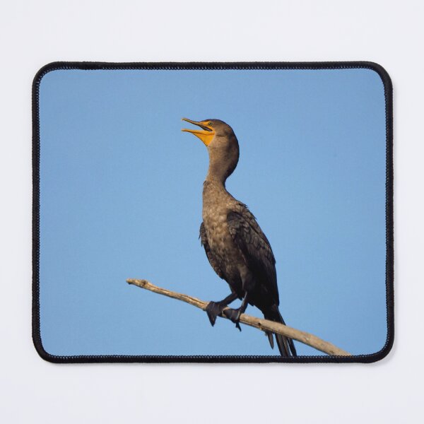 Item preview, Double-crested Cormorant On a Branch designed and sold by BackyardBirder.
