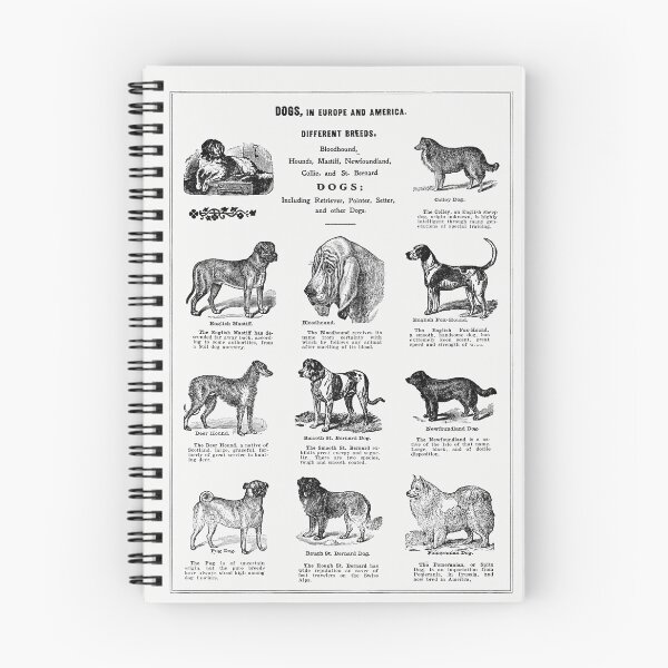 Item preview, Dog Breeds 1915 designed and sold by Wild One.