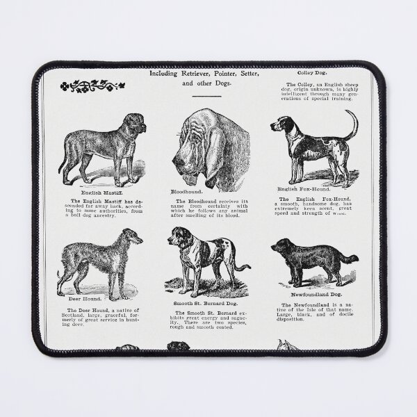 Item preview, Dog Breeds 1915 designed and sold by Wild One.