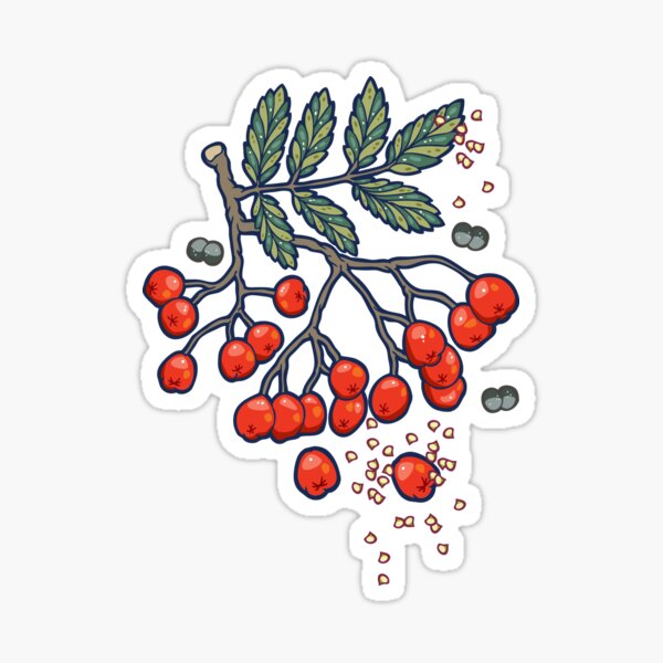 Item preview, Magic rowan designed and sold by smalldrawing.