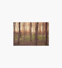 Landscape Art Board