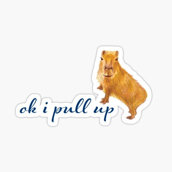 "Ok I pull up" Sticker for Sale by umasharda | Redbubble