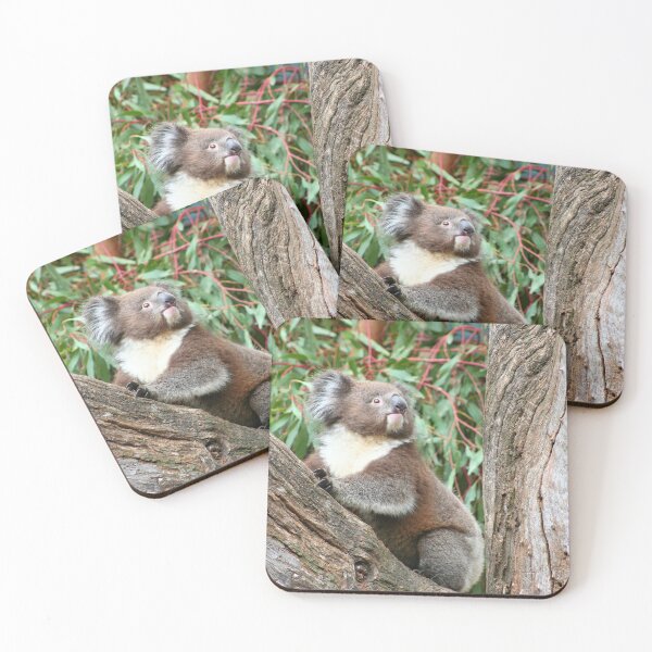 Item preview, Koala in the fork of a tree, Australia designed and sold by FranWest.