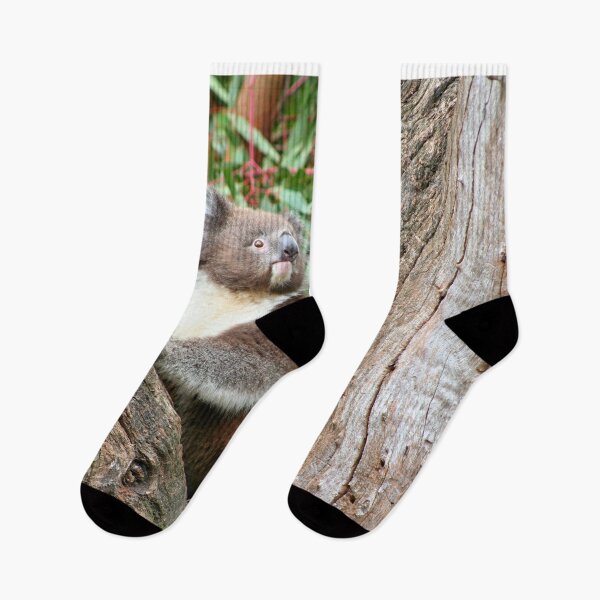 Item preview, Koala in the fork of a tree, Australia designed and sold by FranWest.