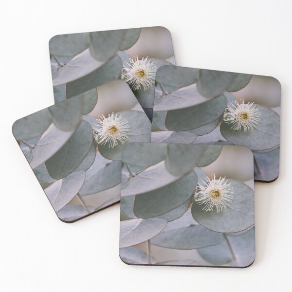 Item preview, Eucalyptus - White flower designed and sold by Jennene Cathcart.