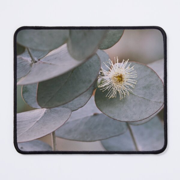 Item preview, Eucalyptus - White flower designed and sold by Jennene Cathcart.