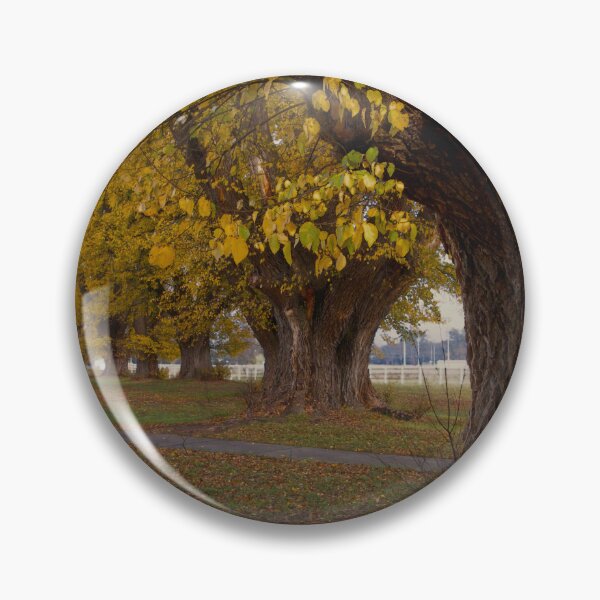 Item preview, Tumut Elm Trees in Autumn designed and sold by Jennene Cathcart.