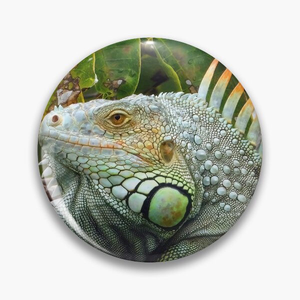 Item preview, Iguana Male 1 designed and sold by Jeffrey Mask.