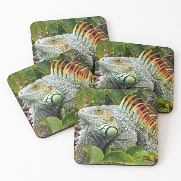 Item preview, Iguana Male 1 designed and sold by Jeffrey Mask.