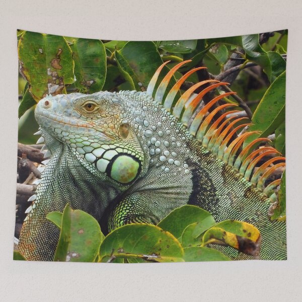 Item preview, Iguana Male 1 designed and sold by Jeffrey Mask.