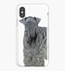 Kerry Blue Portrait iPhone Case