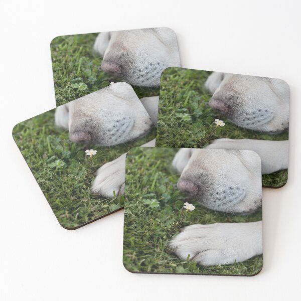 Item preview, Scent designed and sold by ernest123.