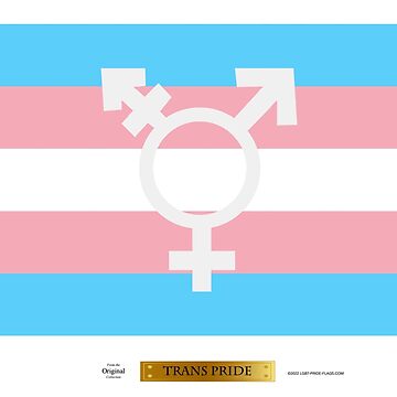 Artwork thumbnail, Trans-Pride LGBT Pride Flag by LGBT-Pride-Flag