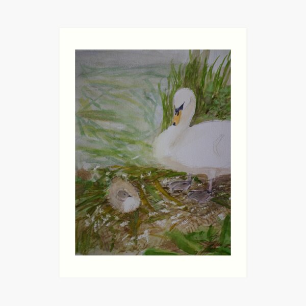 Swan and Cygnet Art Print