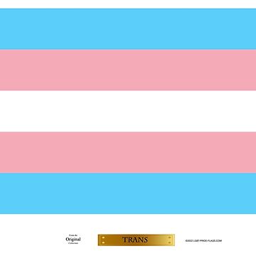 Artwork thumbnail, Trans LGBT Pride Flag by LGBT-Pride-Flag