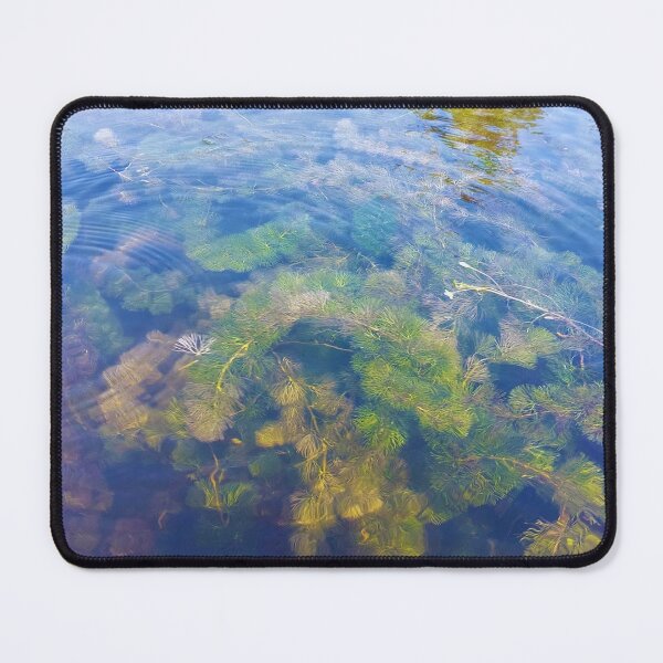 Item preview, freshwater algae under the lake designed and sold by pamaripai.