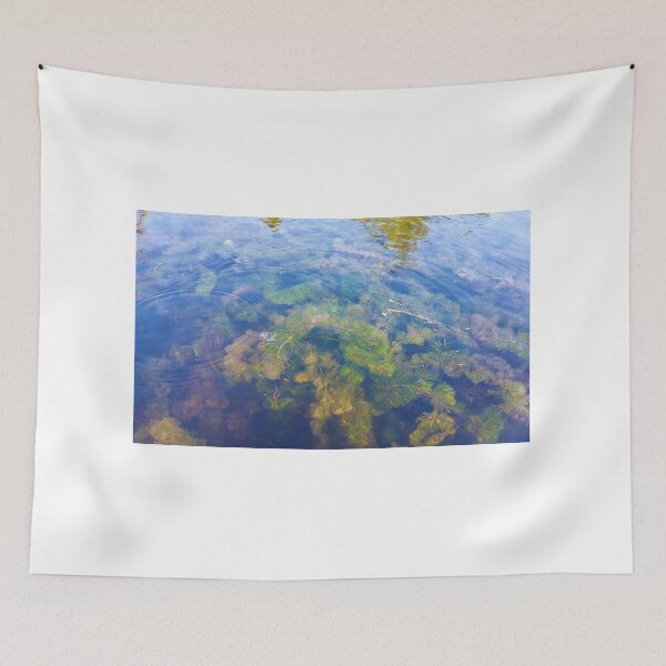 Item preview, freshwater algae under the lake designed and sold by pamaripai.