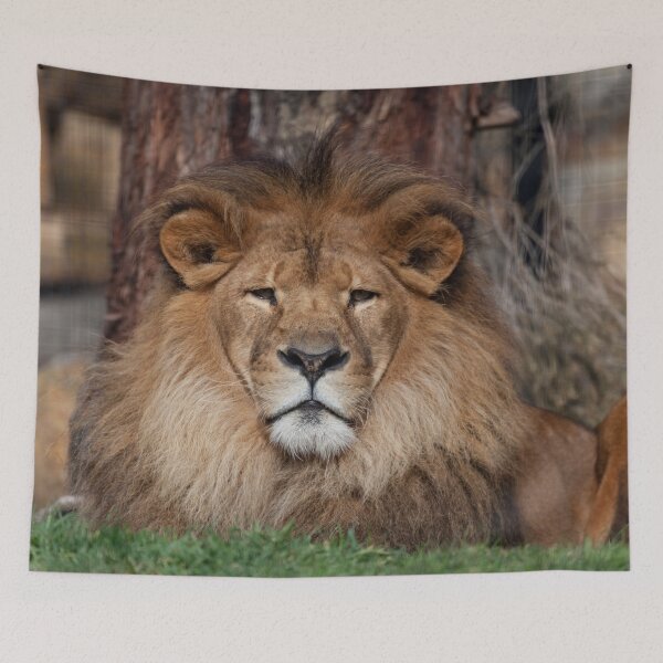Item preview, King of the Jungle designed and sold by Withns.