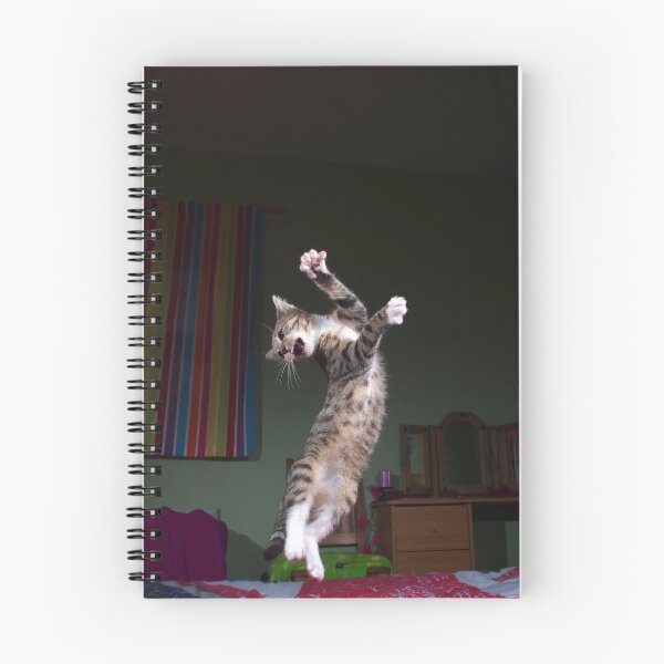 Item preview, Dancing kitten designed and sold by turniptowers.