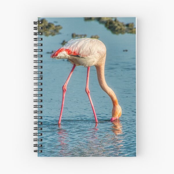 Item preview, The flamingo who dreamed of being an ostrich designed and sold by Air-Camargue.