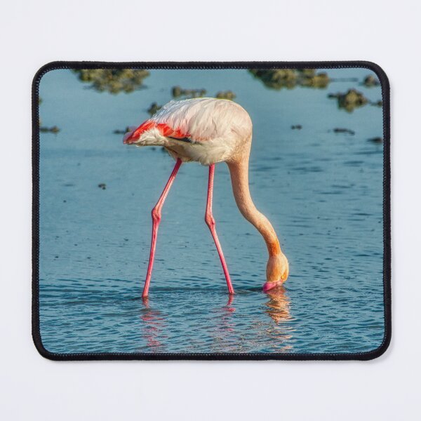 Item preview, The flamingo who dreamed of being an ostrich designed and sold by Air-Camargue.