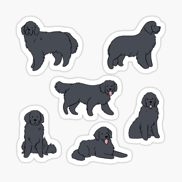 Newfoundland Dog Merch Gifts for Sale Redbubble