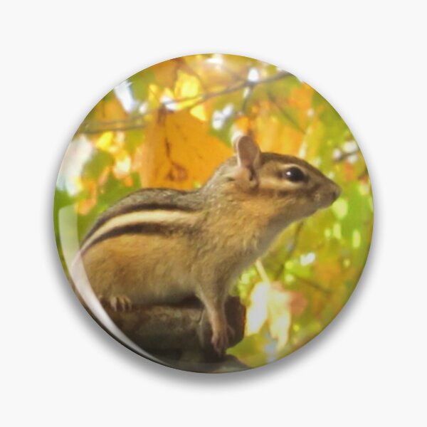 Item preview, Cute Chipmunk Photo designed and sold by drbozzo.