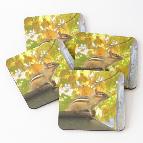 Item preview, Cute Chipmunk Photo designed and sold by drbozzo.