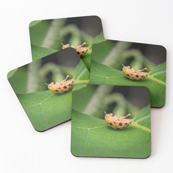 Item preview, A silly 28-spotted potato ladybird rolled onto its back designed and sold by AvonPerception.