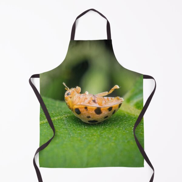Item preview, A silly 28-spotted potato ladybird rolled onto its back designed and sold by AvonPerception.