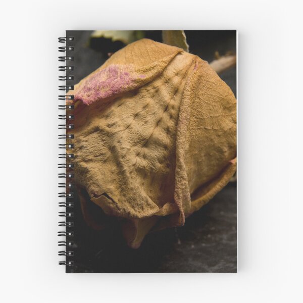 Item preview, Dry rose designed and sold by Milan Latta.