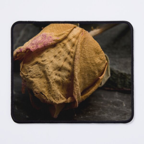 Item preview, Dry rose designed and sold by Milan Latta.