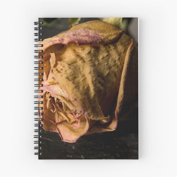 Item preview, Dry rose designed and sold by Milan Latta.