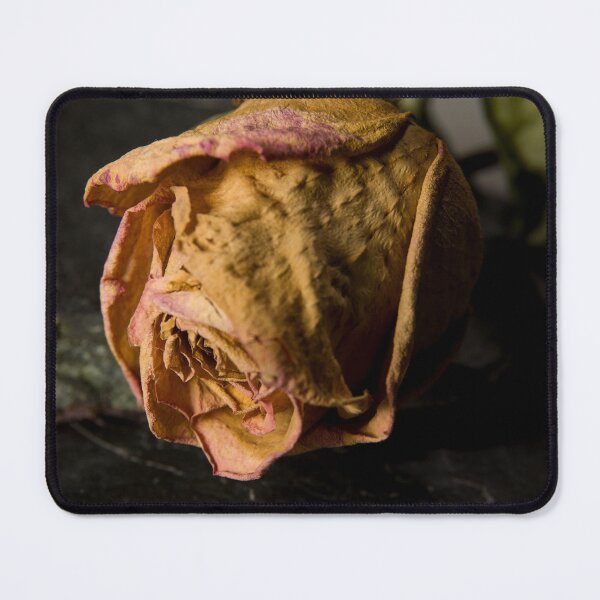Item preview, Dry rose designed and sold by Milan Latta.