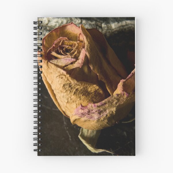 Item preview, Dry rose designed and sold by Milan Latta.