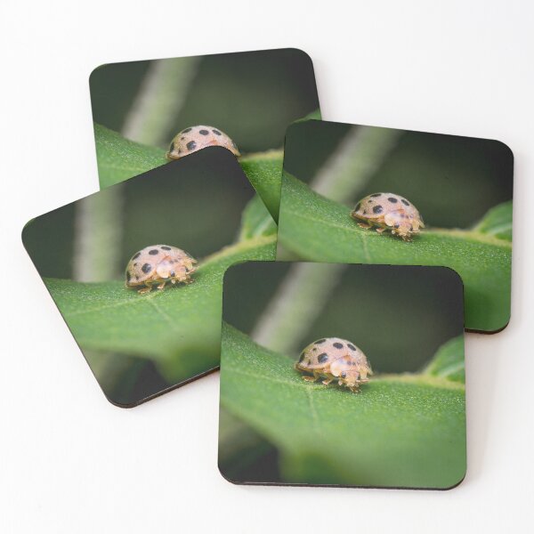 Item preview, The silly 28-spotted potato ladybird managed to roll itself back on its feet designed and sold by AvonPerception.