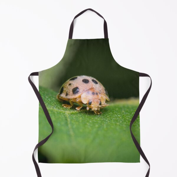 Item preview, The silly 28-spotted potato ladybird managed to roll itself back on its feet designed and sold by AvonPerception.