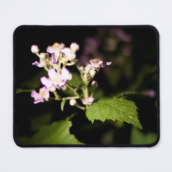 Item preview, Blossom of the night designed and sold by Milan Latta.