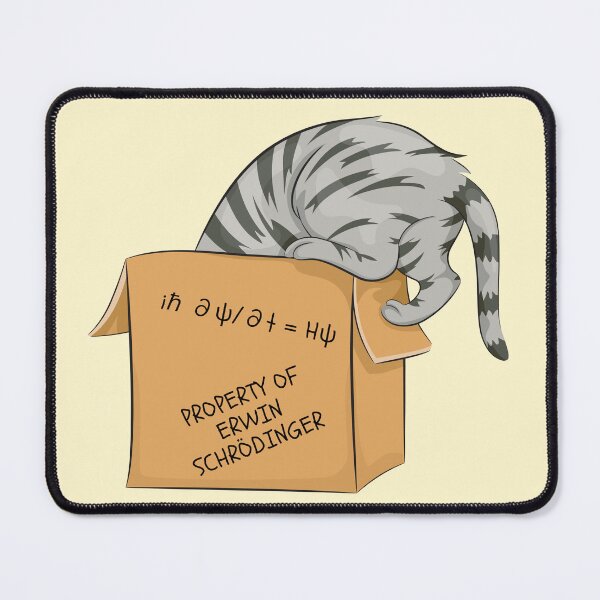 Item preview, Property of Erwin Schrodinger designed and sold by denis90ch.