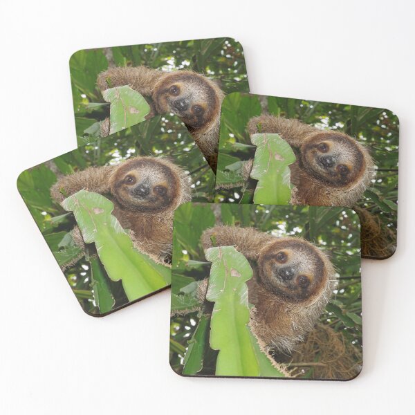 Item preview, Three-toed sloth in a tree wild animal designed and sold by Seaphotoart.