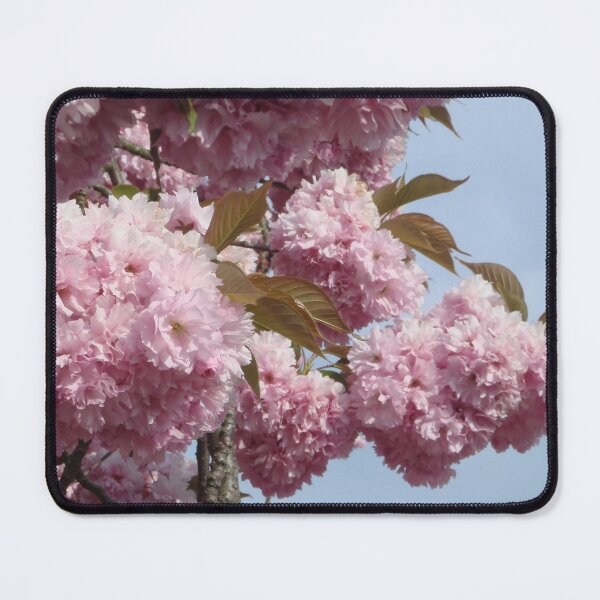 Item preview, pink ornamental cherry branches // designed and sold by Lillrose.