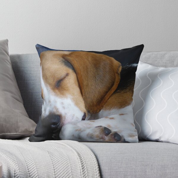 Beagle dog Throw Pillow