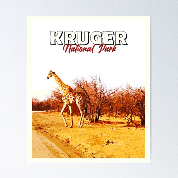 Kruger national park Poster