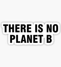 There is no Planet B Sticker