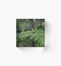 Hawaiian Rain Forest Acrylic Block