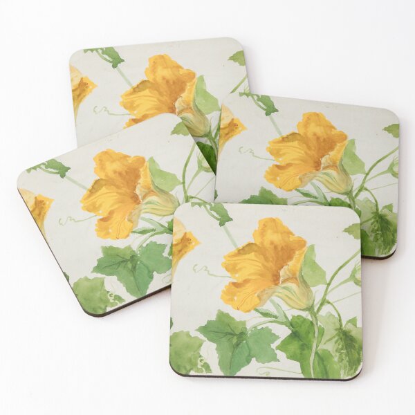 Item preview, Squash Flower Vintage Botanical Watercolor designed and sold by Natural History Prints.